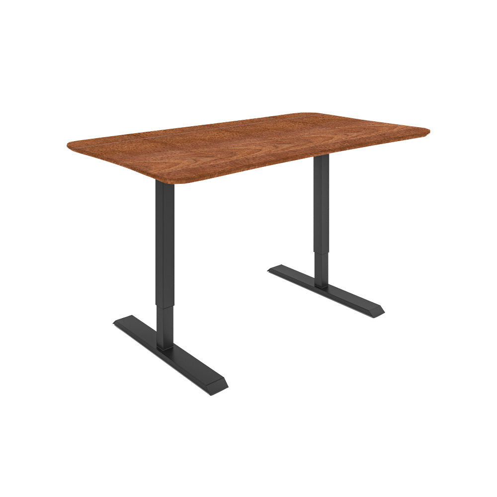 Dawsyn Adjustable Desk