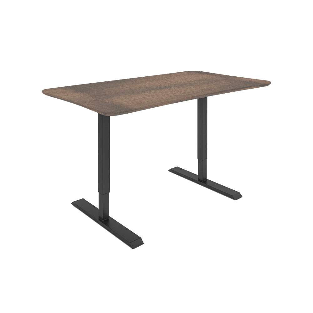 Dawsyn Adjustable Desk