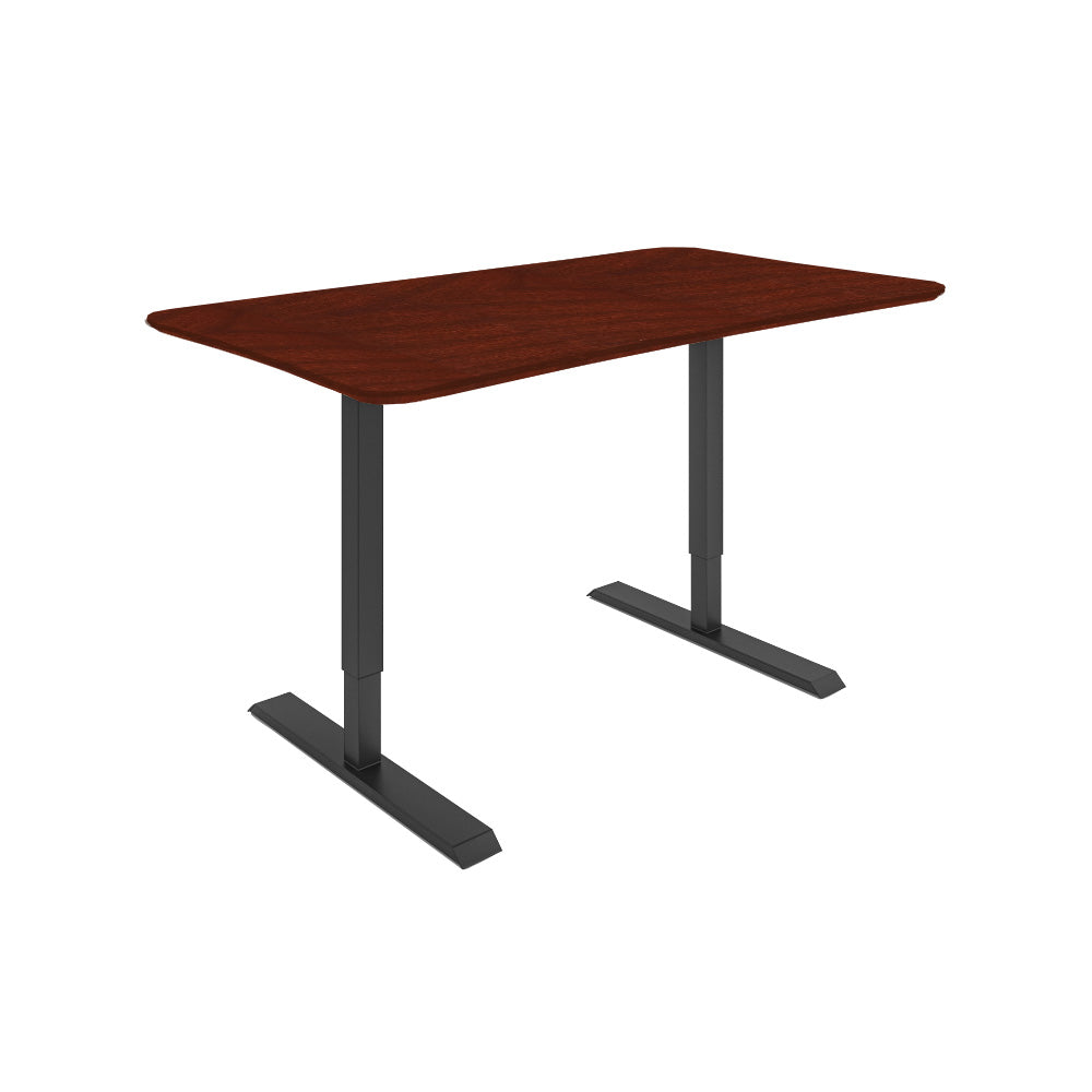 Dawsyn Adjustable Desk