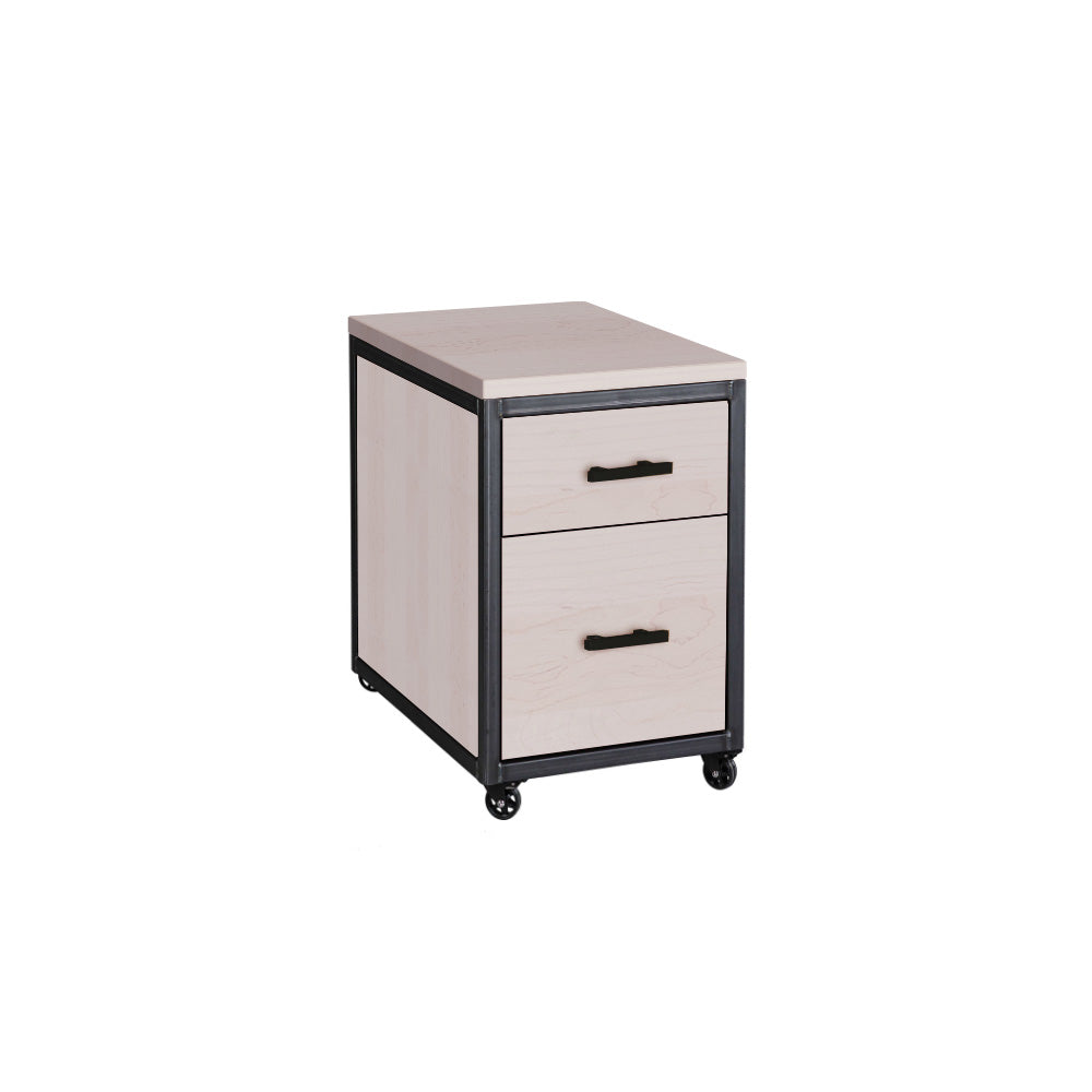 Omni Rolling File Cabinet